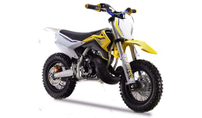 LEM PITBIKE A10/A12 2020 pieno