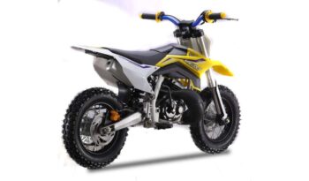 LEM PITBIKE A10/A12 2020 pieno