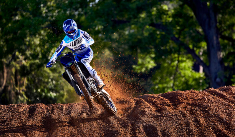 YAMAHA YZ250F MONSTER ED. 2023 pieno