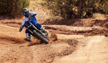 YAMAHA YZ450F MONSTER ED. 2023 pieno