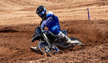 YAMAHA YZ450F MONSTER ED. 2023 pieno
